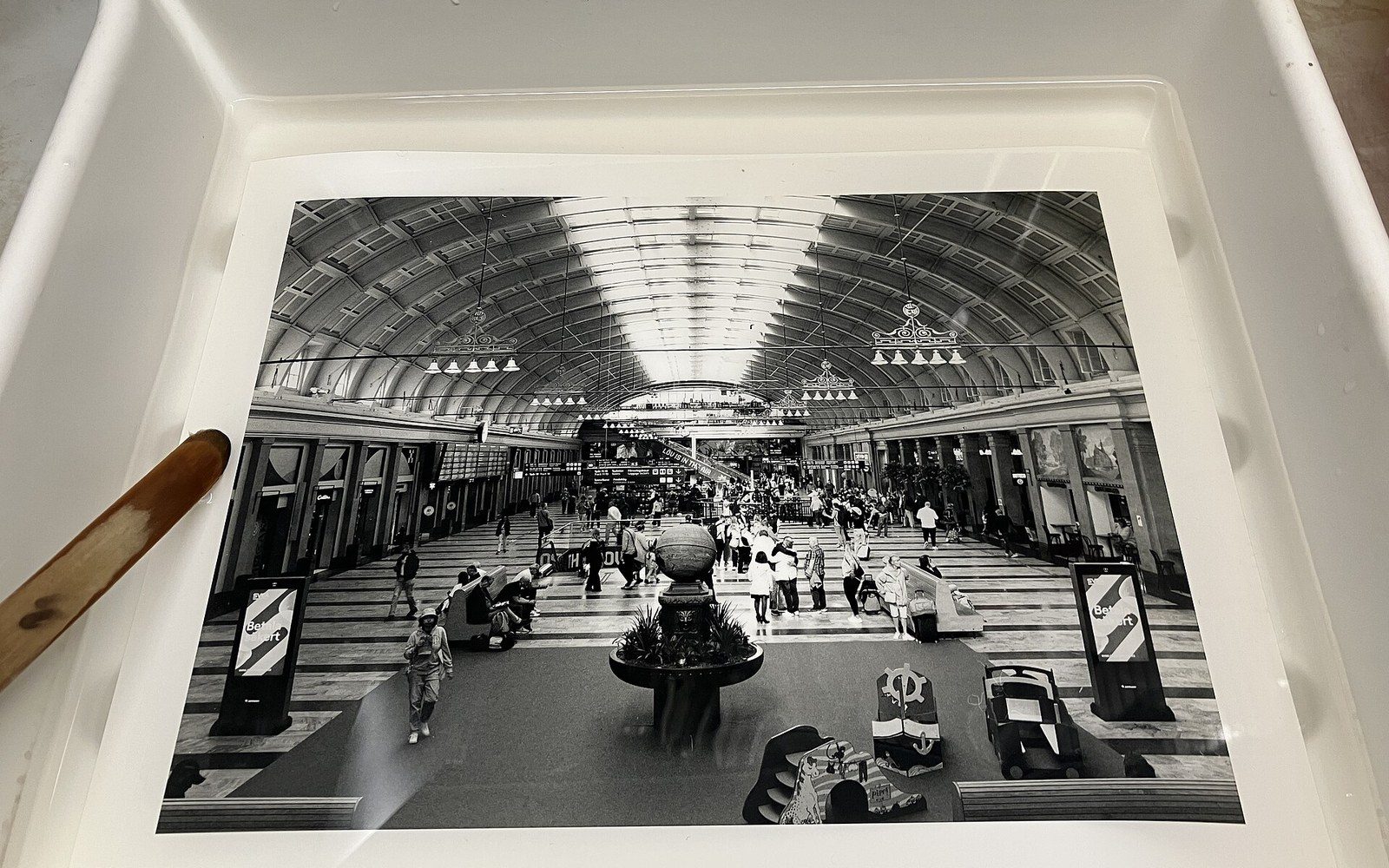 Black and white print of a vaulted train station concourse soaking in a developing tray